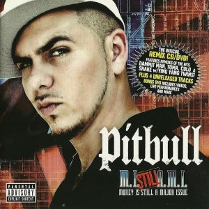 Pitbull - Money Is Still a Major Issue cover art