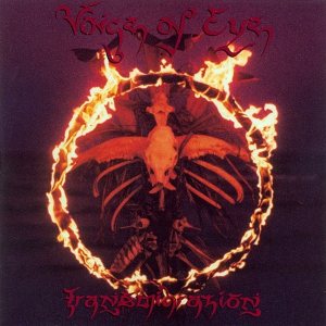 Voice of Eye - Transmigration cover art