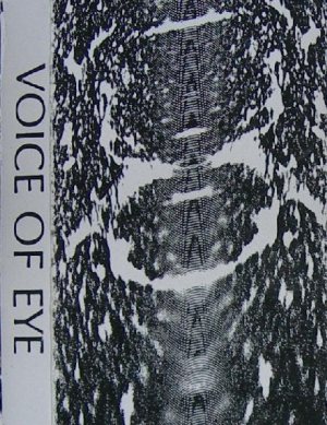 Voice of Eye - Voice of Eye cover art
