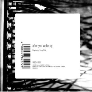 Pay Money to My Pain - After You Wake Up cover art Pay Money to My Pain - After You Wake Up cover art