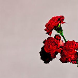 John Legend - Love in the Future cover art