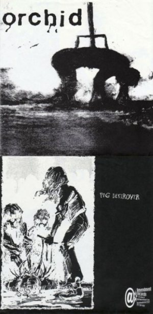 Orchid / Pig Destroyer - Orchid / Pig Destroyer cover art