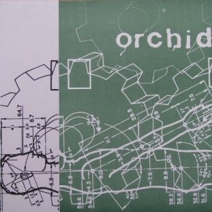 Orchid - Orchid cover art