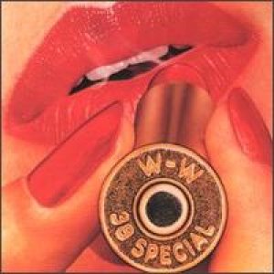 38 Special - Rockin' into the Night cover art