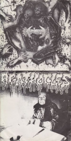 Audiorrea / Agathocles - Audiorrea / Agathocles cover art