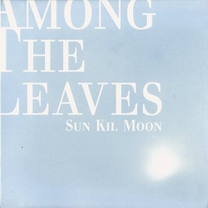 Sun Kil Moon - Among the Leaves cover art