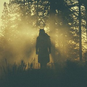 Thundercat - The Beyond / Where the Giants Roam cover art