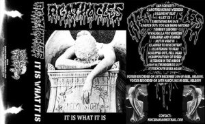 Agathocles - It Is What It Is cover art