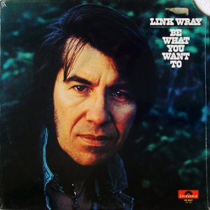 Link Wray - Be What You Want To cover art