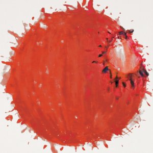 Thornapple - 난 자꾸 말을 더듬고 잠드는 법도 잊었네 cover art Thornapple - 난 자꾸 말을 더듬고 잠드는 법도 잊었네 cover art