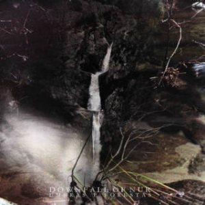 Downfall of Nur - Umbras e Forestas cover art Downfall of Nur - Umbras e Forestas cover art
