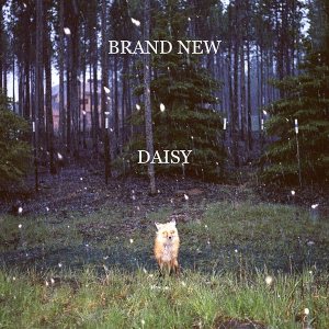 Brand New - Daisy cover art