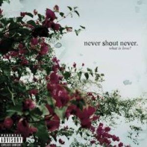 Never Shout Never - What Is Love? cover art
