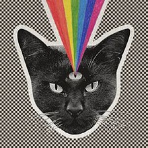 Never Shout Never - Black Cat cover art