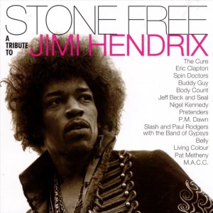 Various Artists - Stone Free: a Tribute to Jimi Hendrix cover art