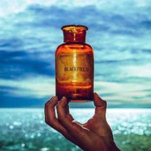 Blackfield - Blackfield V cover art