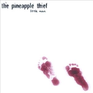 The Pineapple Thief - Little Man cover art