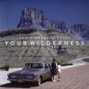 The Pineapple Thief - Your Wilderness cover art