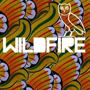 SBTRKT - Wildfire cover art