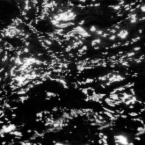 Grouper - A I A: Dream Loss cover art Grouper - A I A: Dream Loss cover art