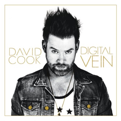David Cook - Digital Vein cover art