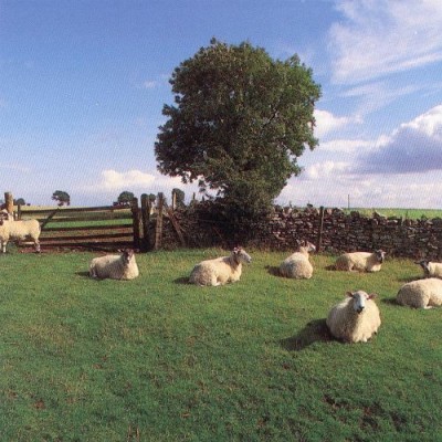 The KLF - Chill Out cover art