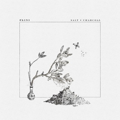 Plini - Salt + Charcoal cover art