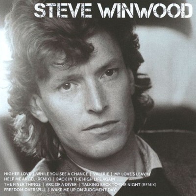 Steve Winwood - Icon cover art