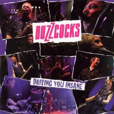 Buzzcocks - Driving You Insane cover art