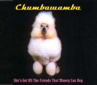 Chumbawamba - She's Got All the Friends That Money Can Buy cover art