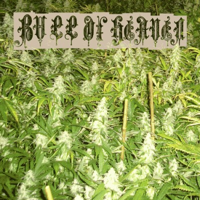 Bull of Heaven - 001: Weed Problem cover art