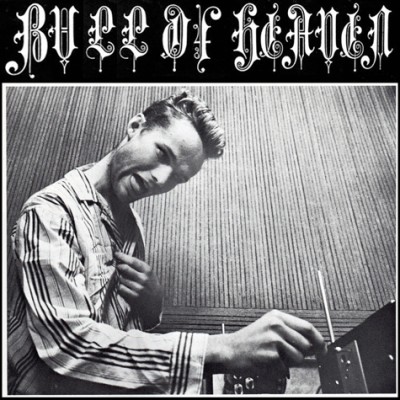Bull of Heaven - 004: Reasoning in State Hospital cover art Bull of Heaven - 004: Reasoning in State Hospital cover art