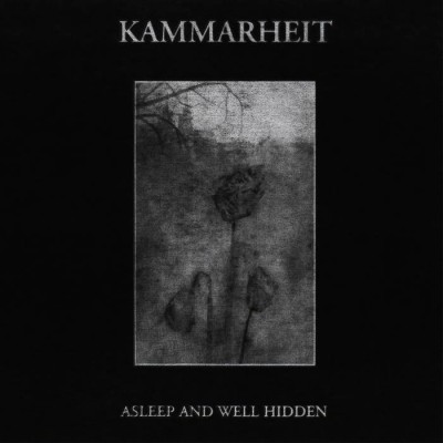 Kammarheit - Asleep and Well Hidden cover art