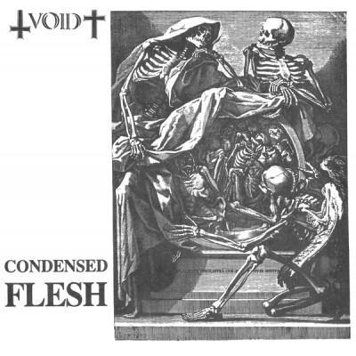 Void - Condensed Flesh cover art