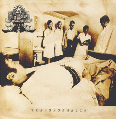 Diagnose: Lebensgefahr - Transformalin cover art