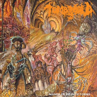 Tomb Mold - Manor of Infinite Forms cover art