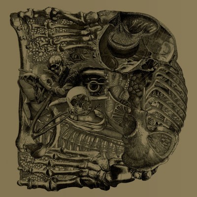 Boris - Dear cover art Boris - Dear cover art