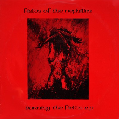 Fields of the Nephilim - Burning the Fields cover art