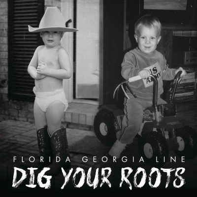 Florida Georgia Line - Dig Your Roots cover art