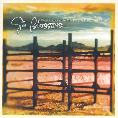 Gin Blossoms - Outside Looking In: The Best of the Gin Blossoms cover art