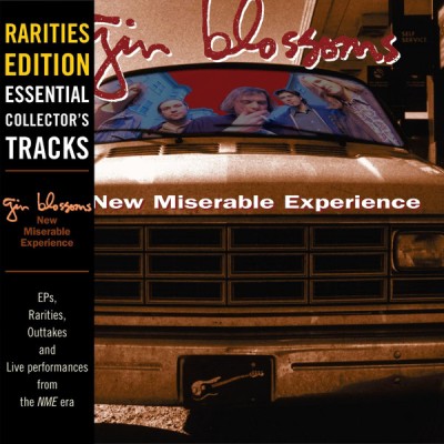 Gin Blossoms - Rarities cover art