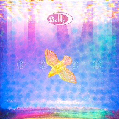 Belly - Dove cover art