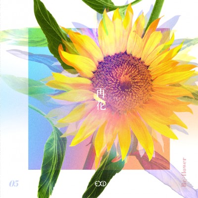EXID - [Re:Flower] PROJECT #5 cover art