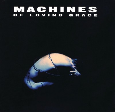 Machines of Loving Grace - Concentration cover art