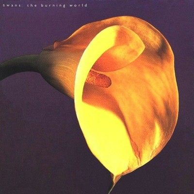 Swans - The Burning World cover art