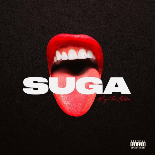 Megan thee Stallion - Suga cover art