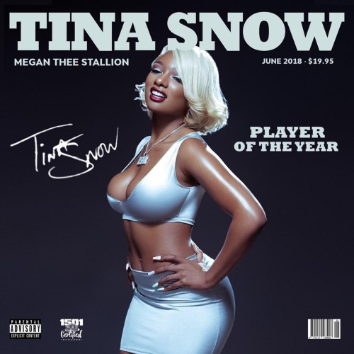 Megan thee Stallion - Tina Snow cover art Megan thee Stallion - Tina Snow cover art