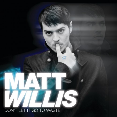Matt Willis - Don't Let It Go to Waste cover art