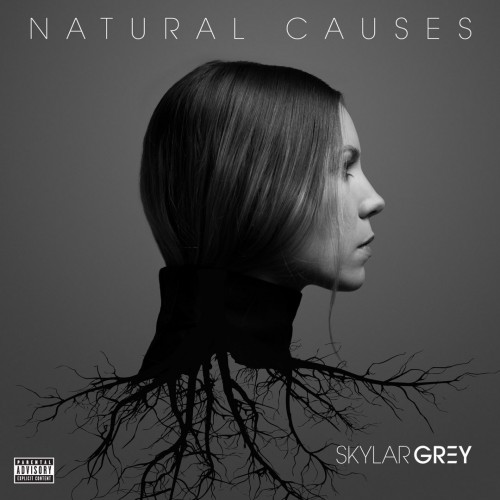 Skylar Grey - Natural Causes cover art