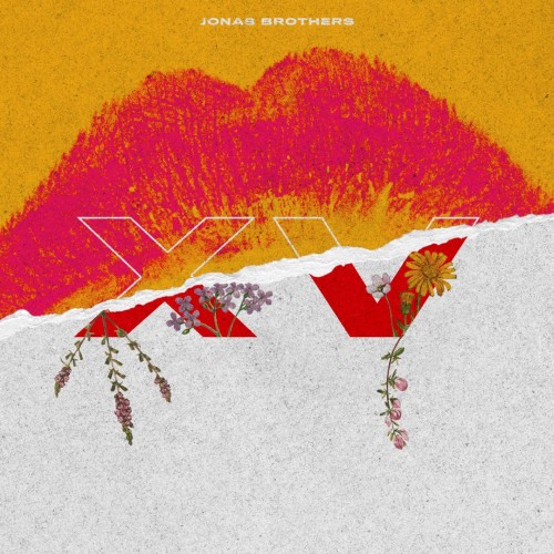 Jonas Brothers - XV cover art